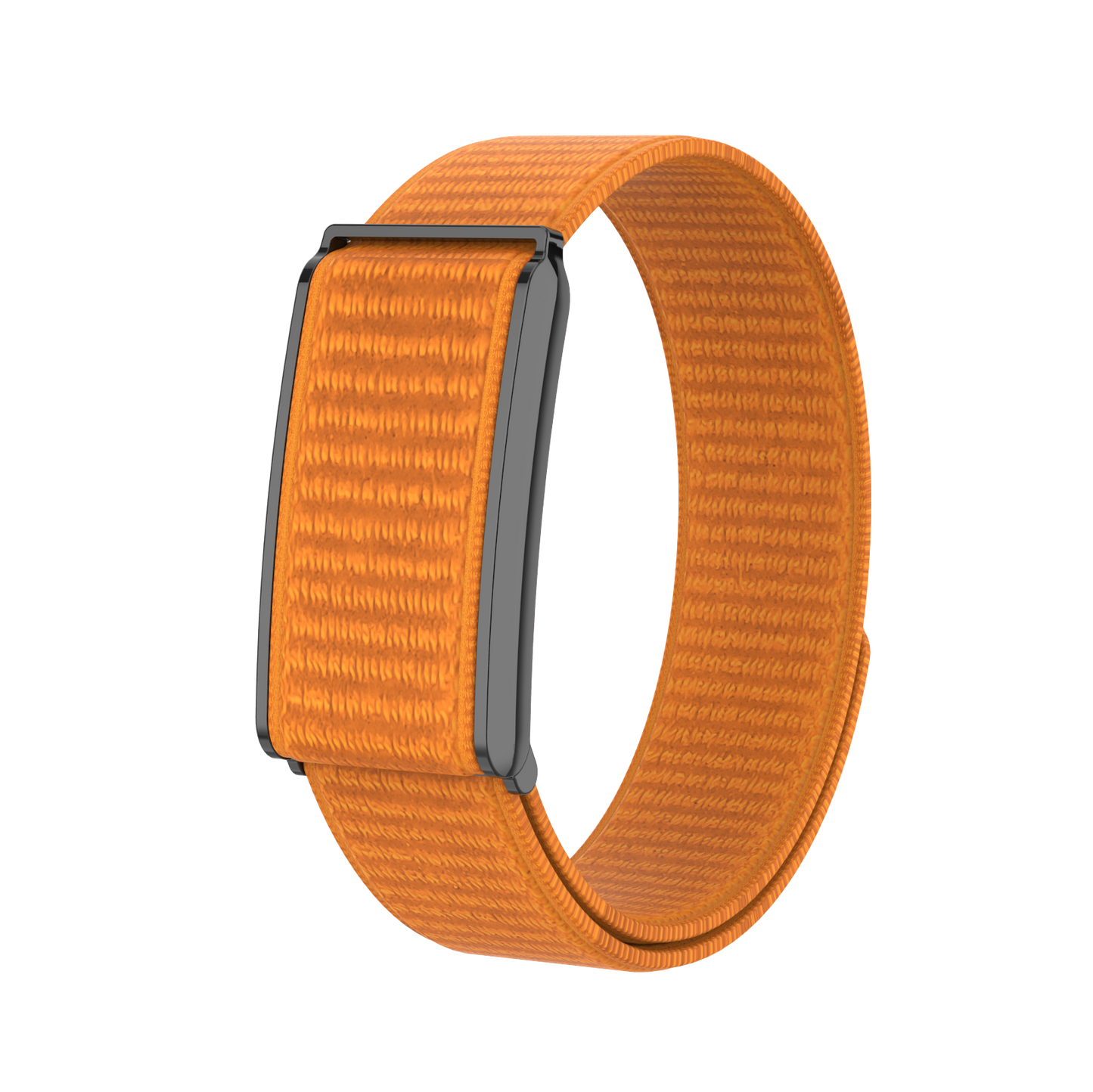 Wellness & Activity Tracker - Fabric