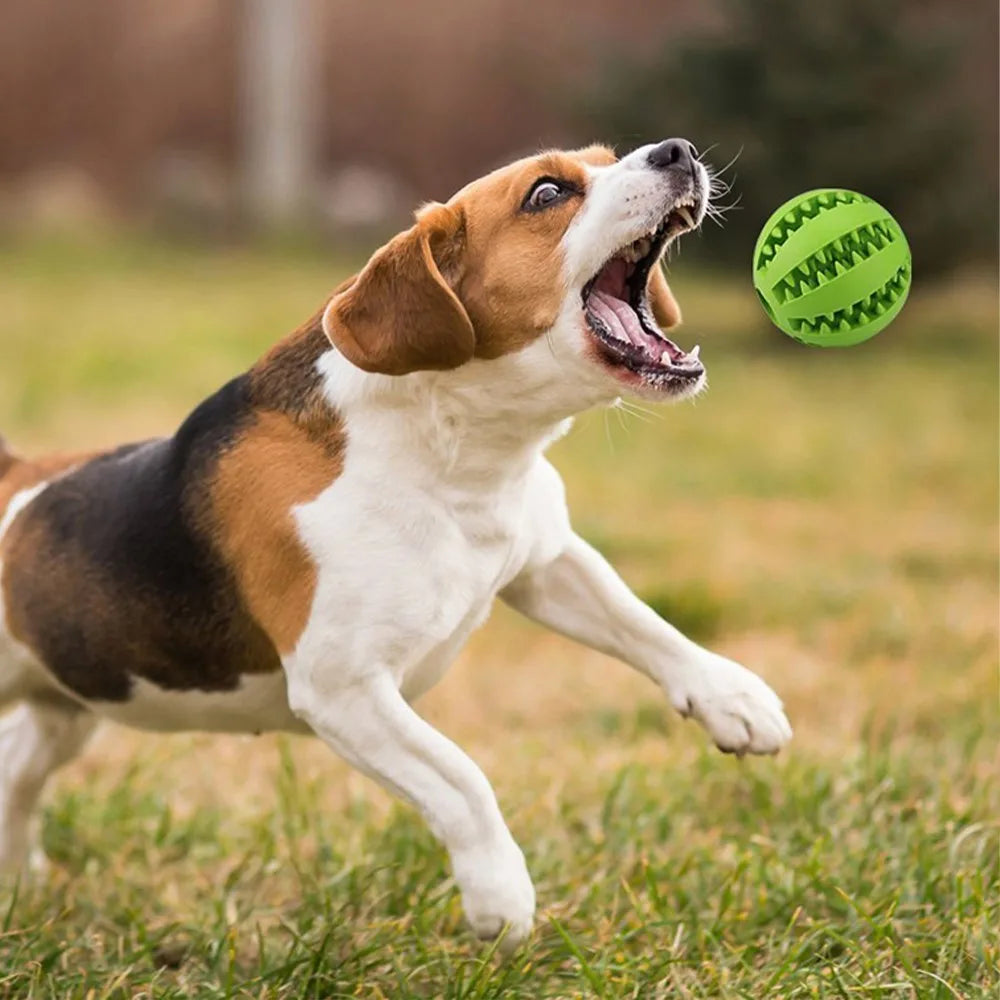 Interactive Pet Treat Dog Toy