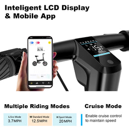 Foldable Electric Bike with App – Let It Ride Tech