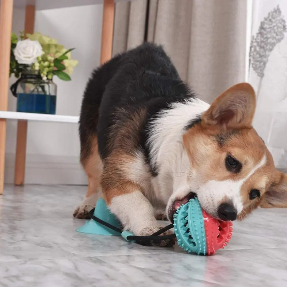 Treat Dispensing Dog Pull Toy