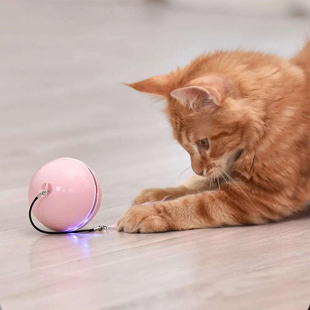 Spinning Cat Toy With LED Light